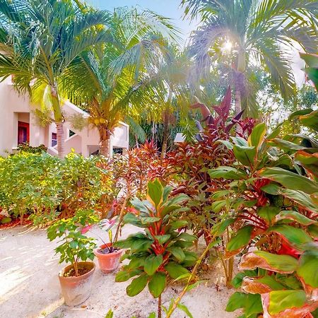 Casa Tranquilidad Apartment ซานเปโดร ภายนอก รูปภาพ